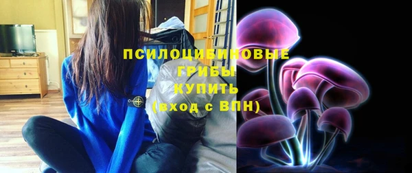PSILOCYBIN Новодвинск