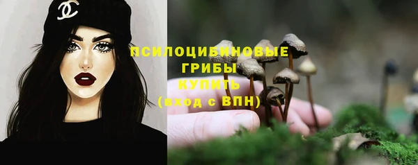 a pvp Новозыбков