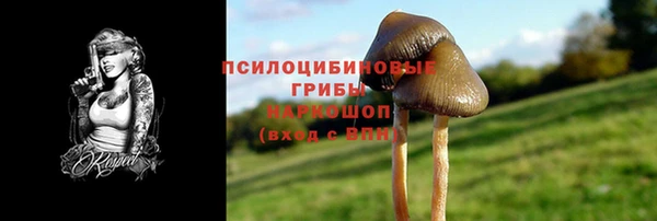 дмт Новокубанск