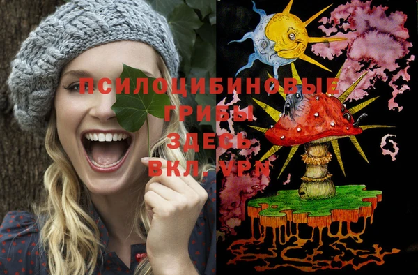 a pvp Новозыбков