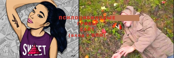 дмт Новокубанск