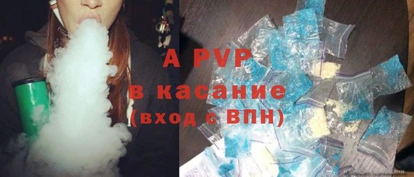 a pvp Новозыбков