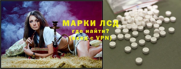 a pvp Новозыбков