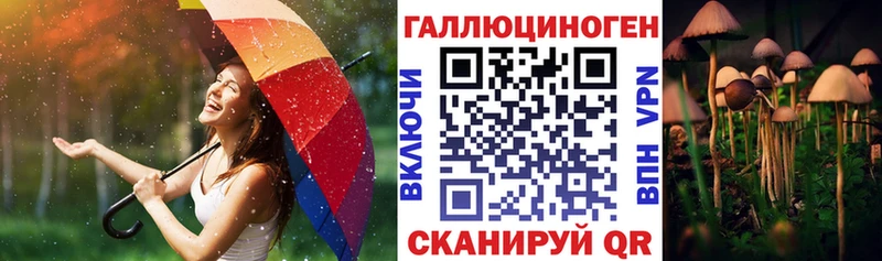 закладки  МЕГА ссылки  Псилоцибиновые грибы прущие грибы  Оханск 